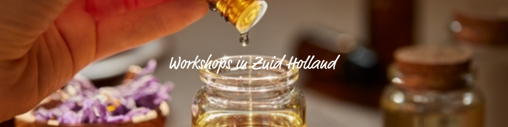 Workshops Zuid-Holland