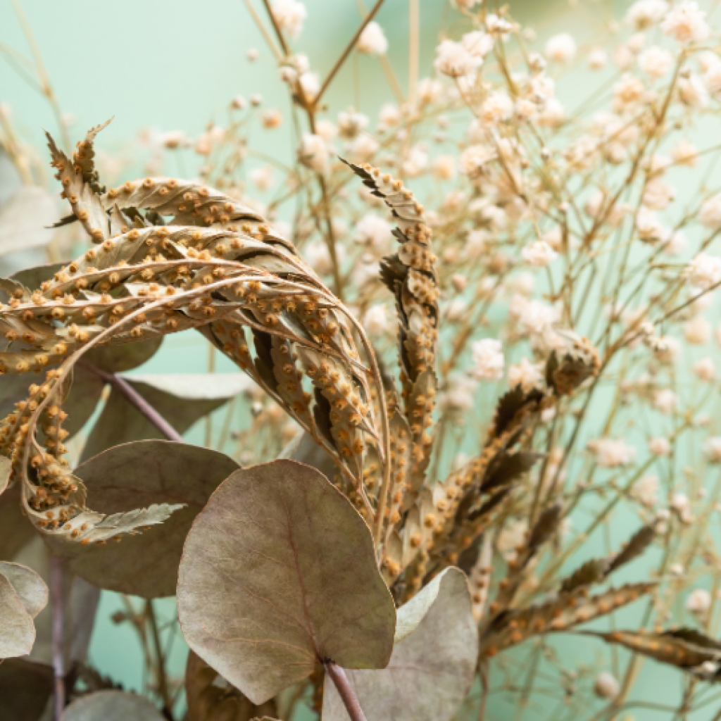 Droogbloemen kerstkrans maken